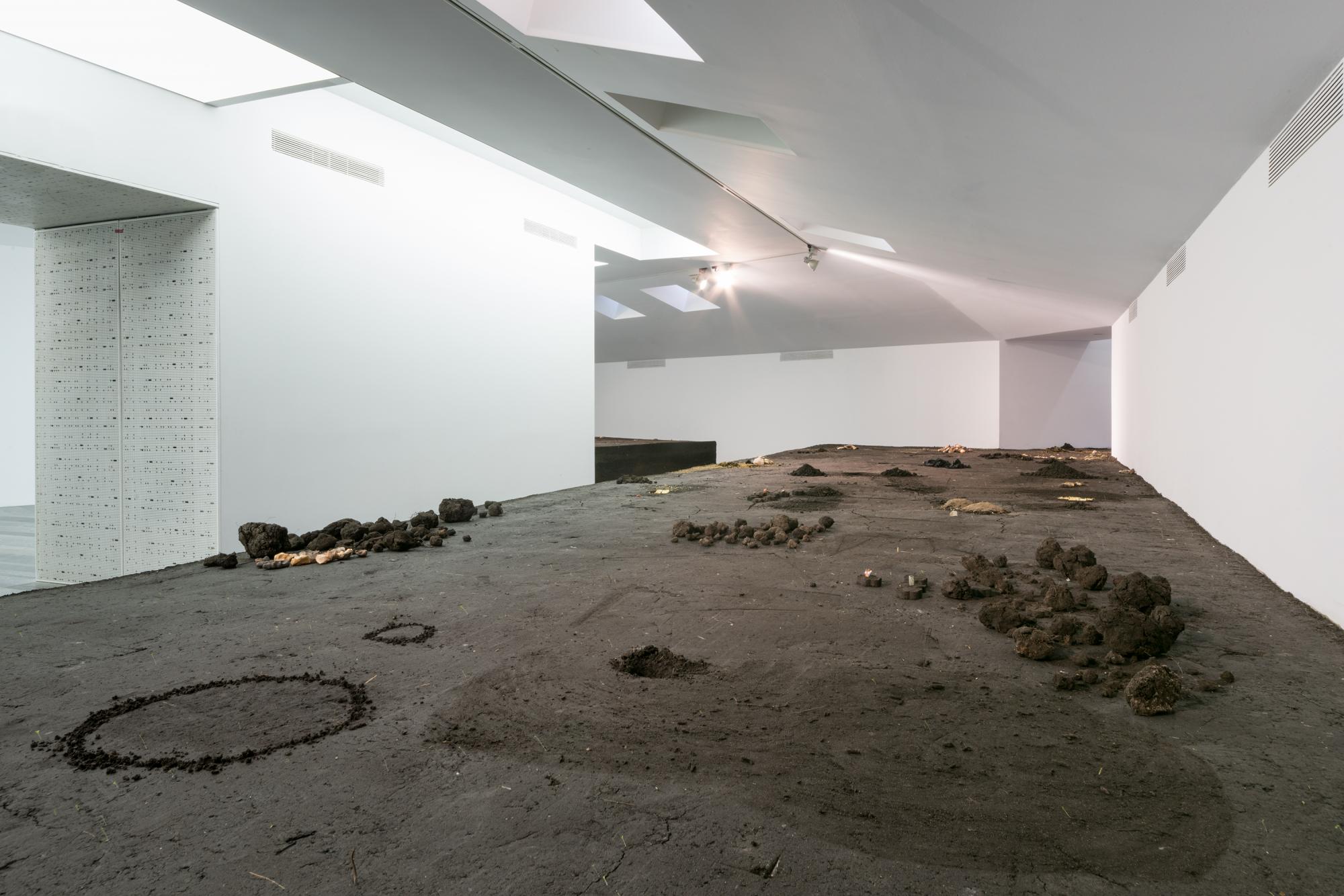 В сети разочарованы победой арт-объекта "Земля" в конкурсе молодых художников