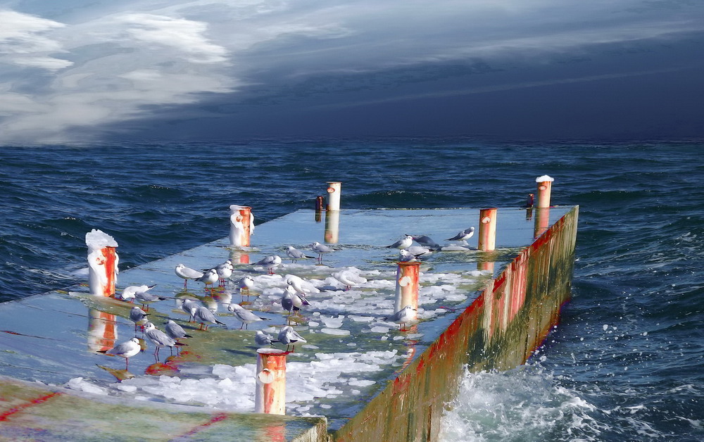 Черное море зимой