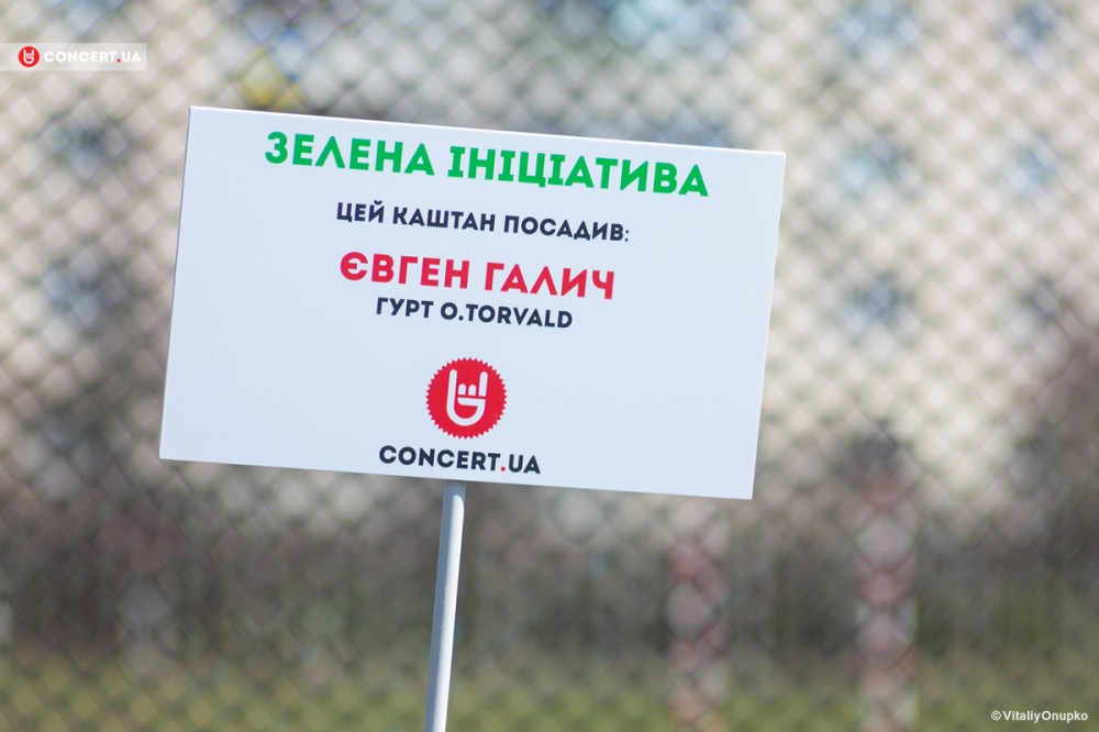 Музыканты высадят аллею каштанов