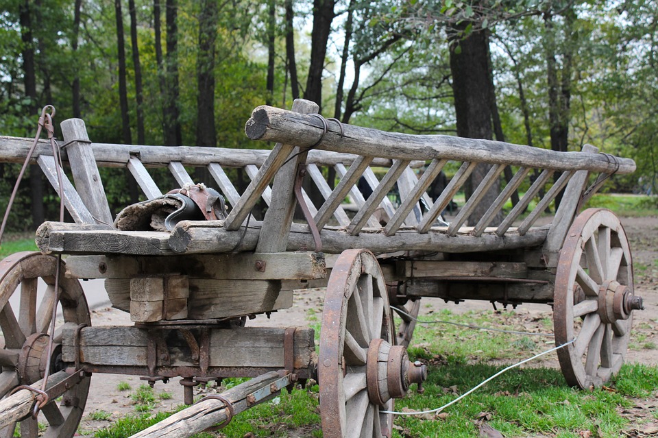 29 березня - День возів 