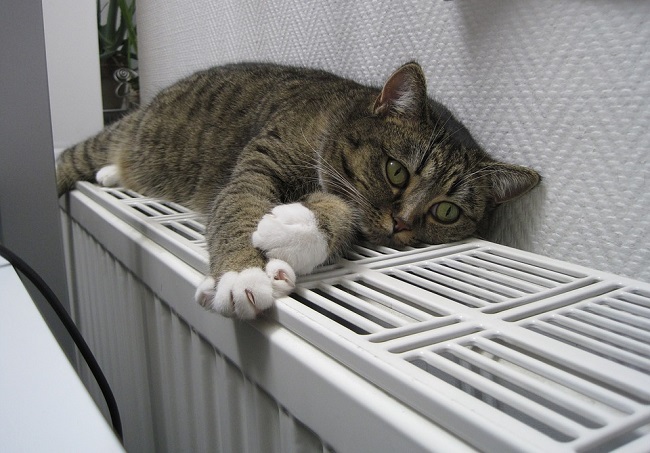 отопительный сезон 2017