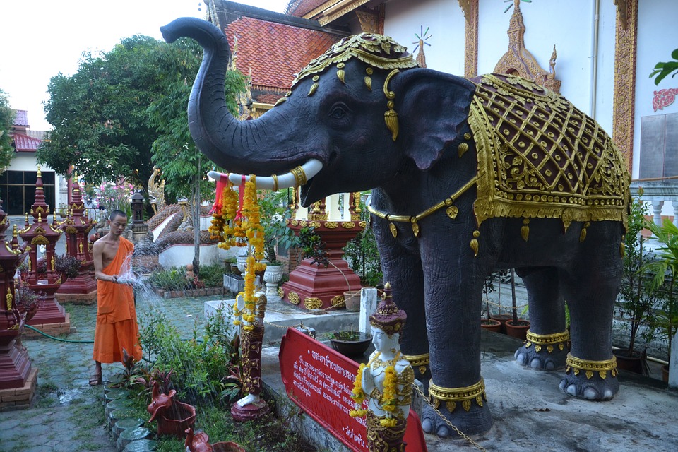 У Таїланді слонам поклоняються 13 березня