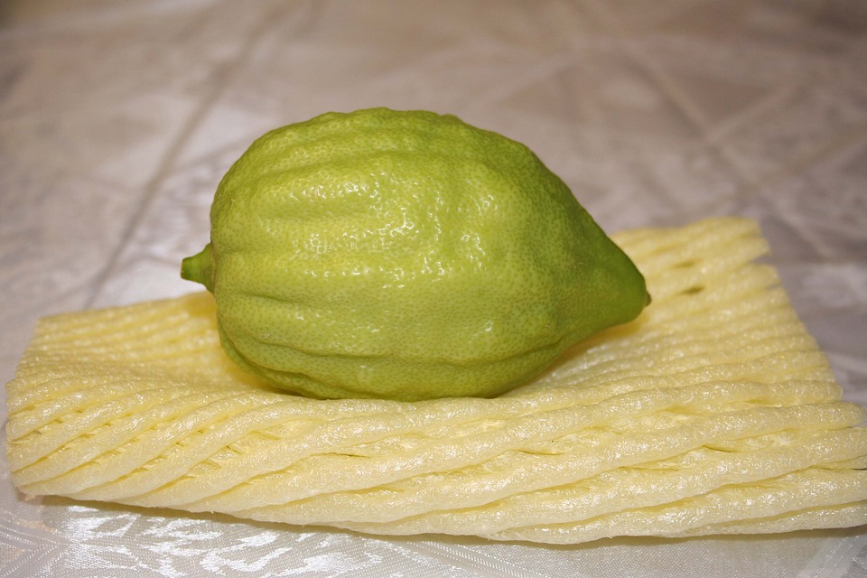 Цитрон для Лулава