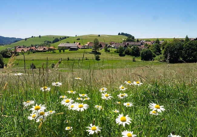 Спекотна погода на Трійцю - до посушливого літа