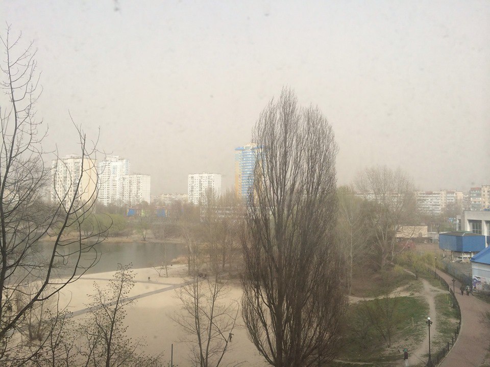 Жареный тофу с томатно-базиликовым соусом: повар поделился оригинальным веганским рецептом