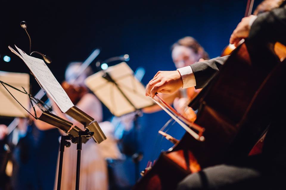 Куди піти на вихідних: три чарівні концерта від Svitlo Concert