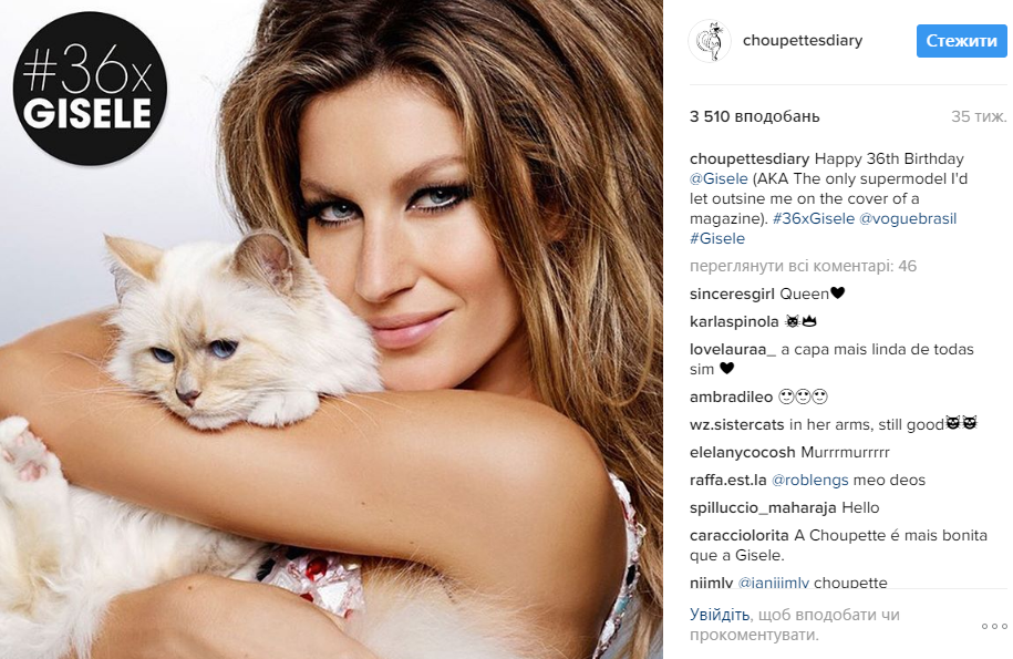 Хакеры украли аккаунт кошки дизайнера Карла Лагерфельда в Instagram