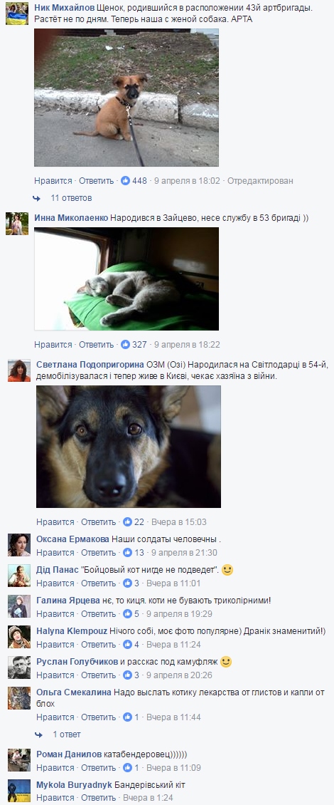 Боєць АТО показав "пухнастого воїна" з передової