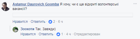 Вас ждут: в Киевском зоопарке ищут волонтеров для глажки котов