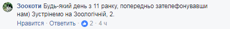 Вас ждут: в Киевском зоопарке ищут волонтеров для глажки котов
