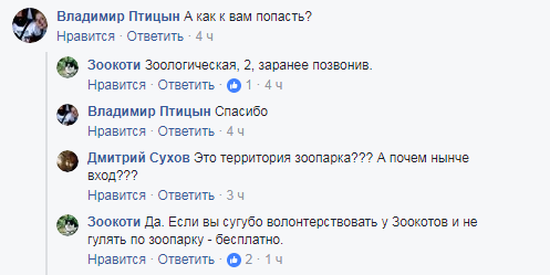 Вас ждут: в Киевском зоопарке ищут волонтеров для глажки котов