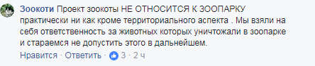 Вас ждут: в Киевском зоопарке ищут волонтеров для глажки котов
