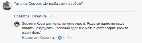 Вас ждут: в Киевском зоопарке ищут волонтеров для глажки котов