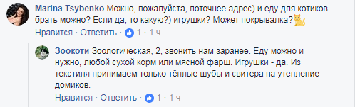 Вас ждут: в Киевском зоопарке ищут волонтеров для глажки котов