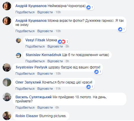 У мережі показали "шалені" краєвиди засніжених Карпат (фото)