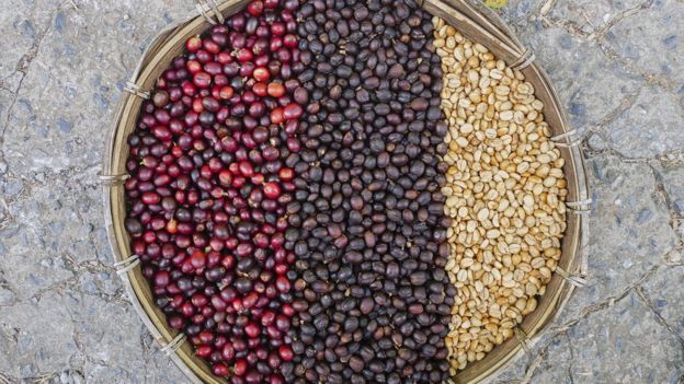 Кофе: интересные факты о самом популярном напитке на земле