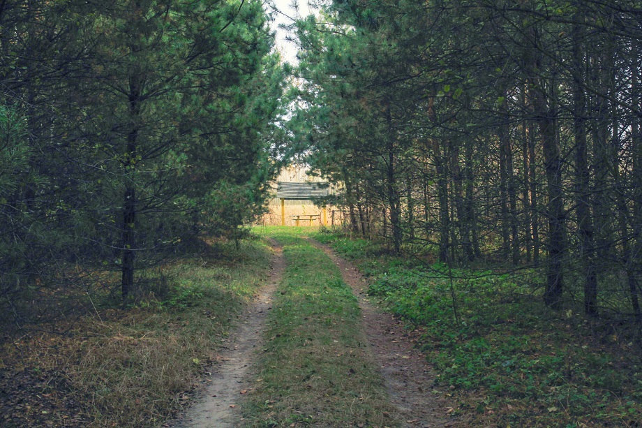 &quot;Україна вражає&quot;: церковь, где снимался &quot;Вий&quot;, поющие сады и самый красивый маяк страны