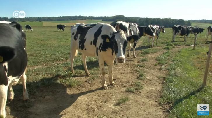 Ученые выяснили, что может помочь предотвратить глобальное потепление