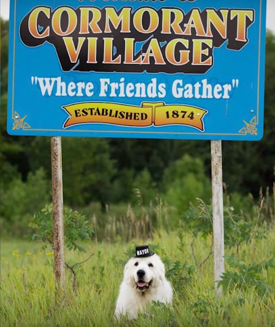 Устал: четырежды побывавший в должности мэра пес уходит на пенсию