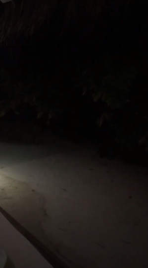 &quot;Полный треш&quot;: Волочкова вызвала недоумение своим поведением на Мальдивах