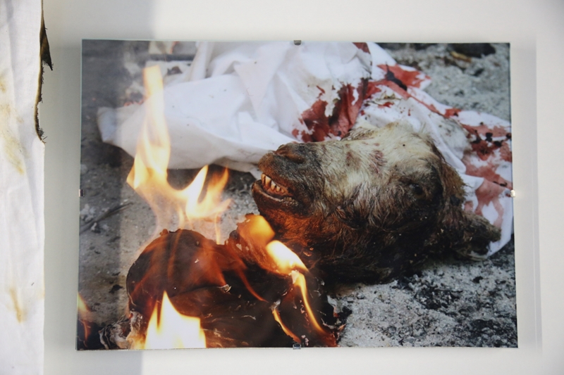 ГОГОЛЬFEST 2016: как проходит самый масштабный арт-фестиваль страны