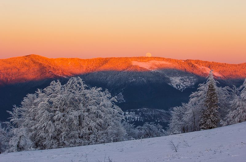 Wikipedia опубликовала лучшие пейзажи Украины