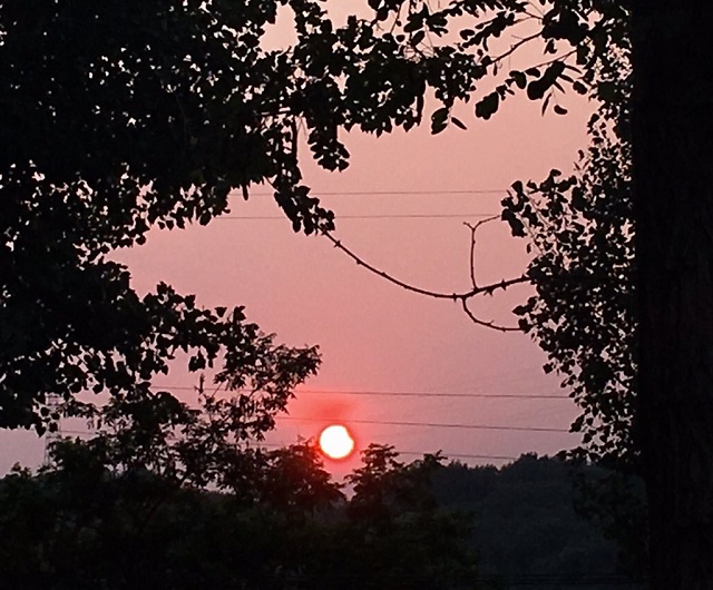 В сети появились свежие фото солнечного затмения, сделанные по всему миру