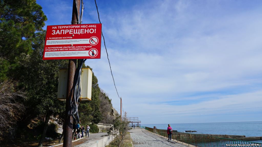 "Алыча в цвету и первые пляжники": в сети показали фотографии весеннего Крыма