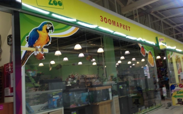 У зоомагазині Запоріжжя помирає позбавлена догляду собака вартістю 20 тисяч гривень