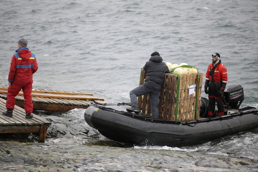 "Украина" начала покорять Антарктиду
