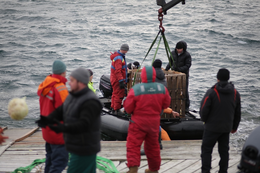 "Украина" начала покорять Антарктиду