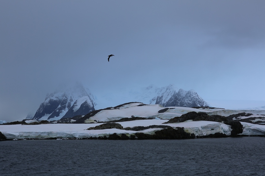 "Украина" начала покорять Антарктиду