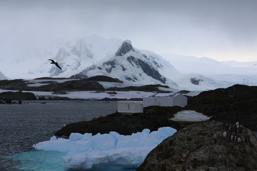 "Украина" начала покорять Антарктиду