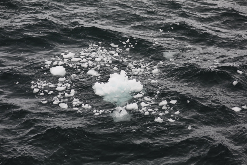 "Украина" начала покорять Антарктиду