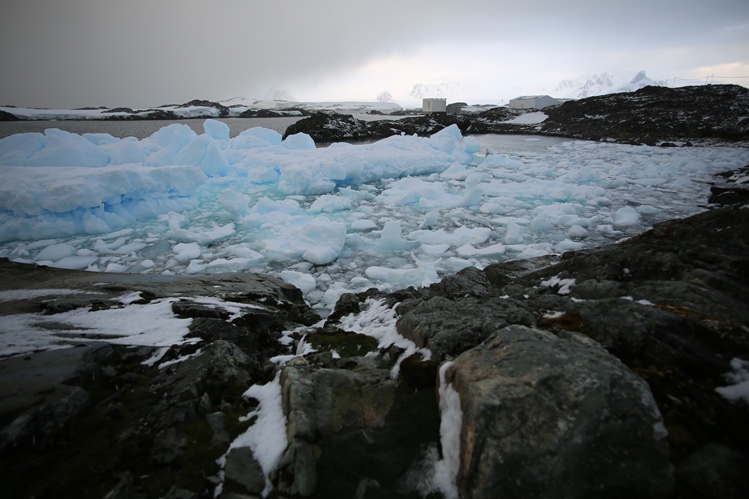 Як живуть полярники