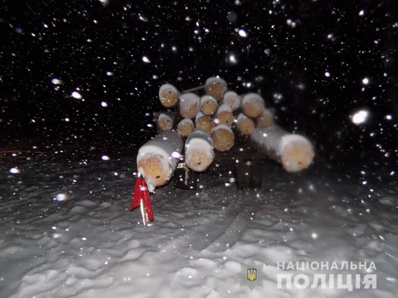 У Вінницькій області в потрійному ДТП колода розчавила дівчинку