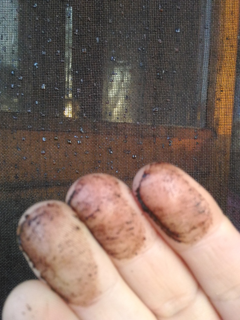 &quot;Доедает провода&quot;: в Крыму из-за выбросов начались проблемы со светом (фото)