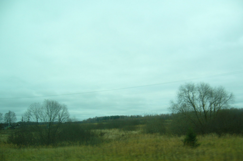 &quot;Гнітюче видовище&quot;: мережу жахнули будинки і поля в Росії