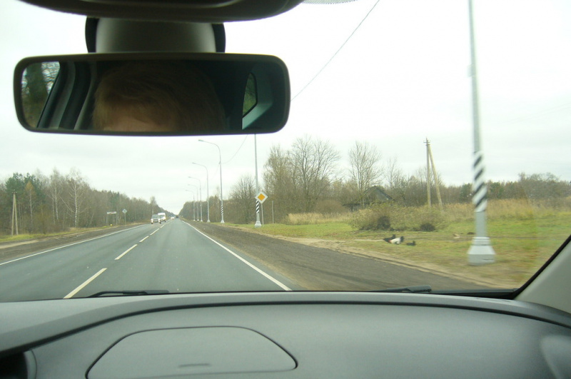 &quot;Гнітюче видовище&quot;: мережу жахнули будинки і поля в Росії