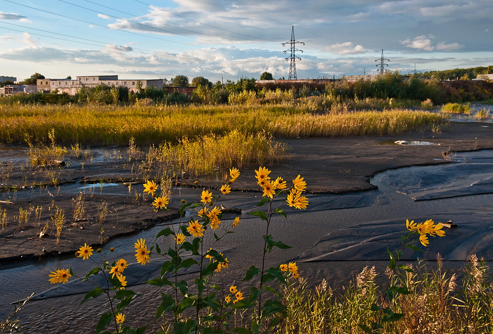 Столичное озеро Горячка сегодня
