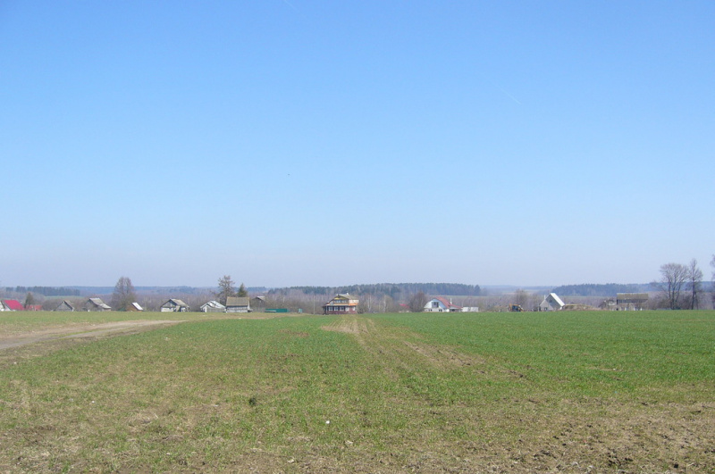 &quot;Гнітюче видовище&quot;: мережу жахнули будинки і поля в Росії