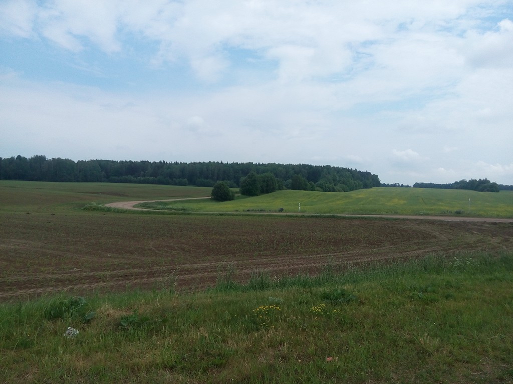 &quot;Гнітюче видовище&quot;: мережу жахнули будинки і поля в Росії