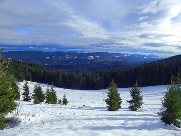 В сети показали фото заснеженных Карпат
