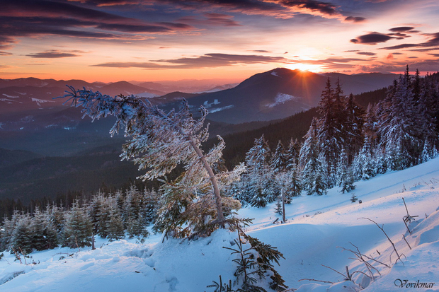 В сети показали фото заснеженных Карпат