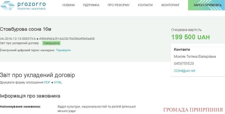 Журналісти показали найдорожчу ялинку в Україні