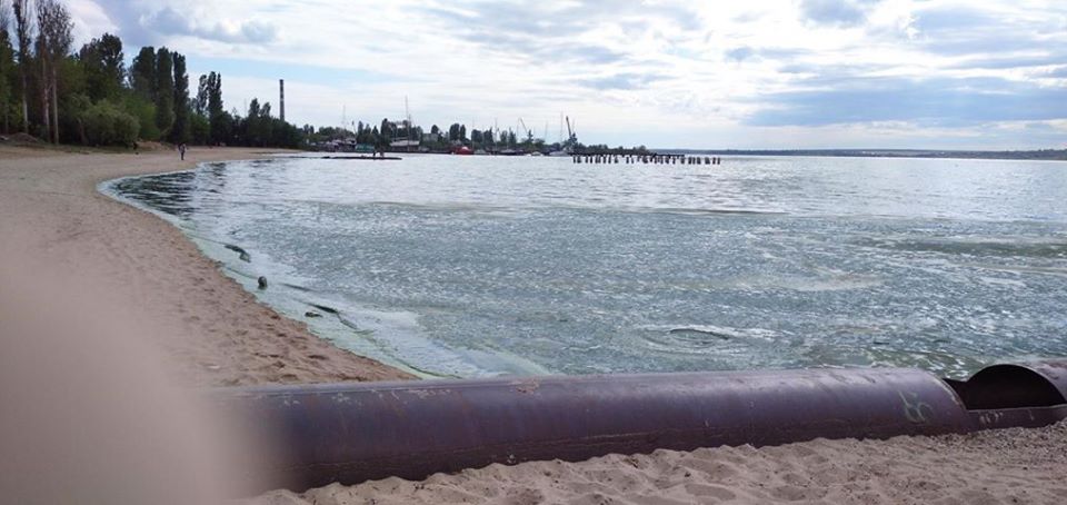 У Миколаєві вода на пляжі перетворилася в зелену рідину: що відбувається