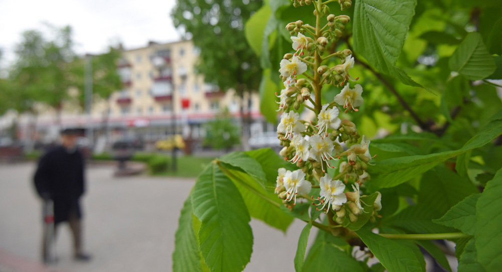 &quot;Холодный атмосферный фронт&quot;: синоптик предупредила украинцев о похолодании