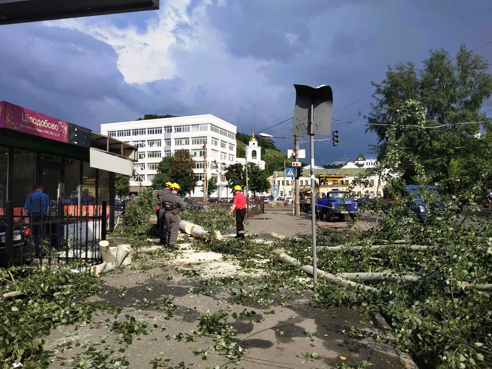 В Киеве сильный ветер повалил деревья в трех районах: фото последствий стихии