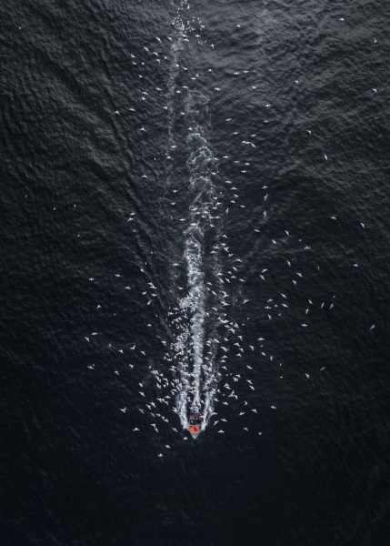 З висоти пташиного польоту: обрані кращі фото, зроблені з дронів