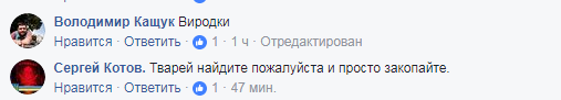"Просто так, ради забавы": в Одесской области браконьеры застрелили краснокнижного сокола (фото)